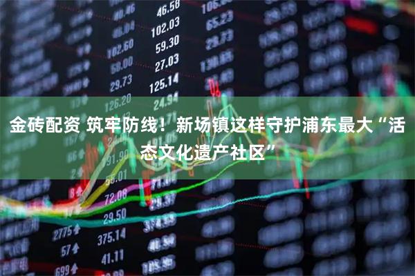 金砖配资 筑牢防线！新场镇这样守护浦东最大“活态文化遗产社区”