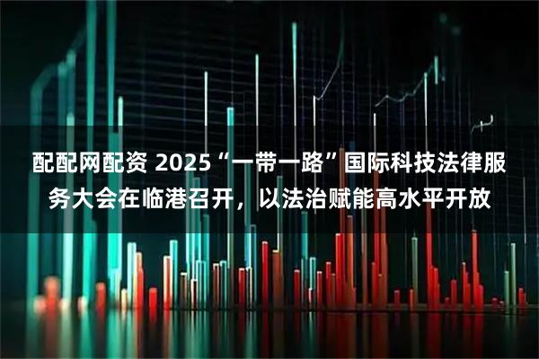 配配网配资 2025“一带一路”国际科技法律服务大会在临港召开，以法治赋能高水平开放