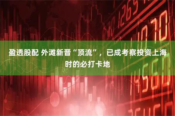 盈透股配 外滩新晋“顶流”，已成考察投资上海时的必打卡地