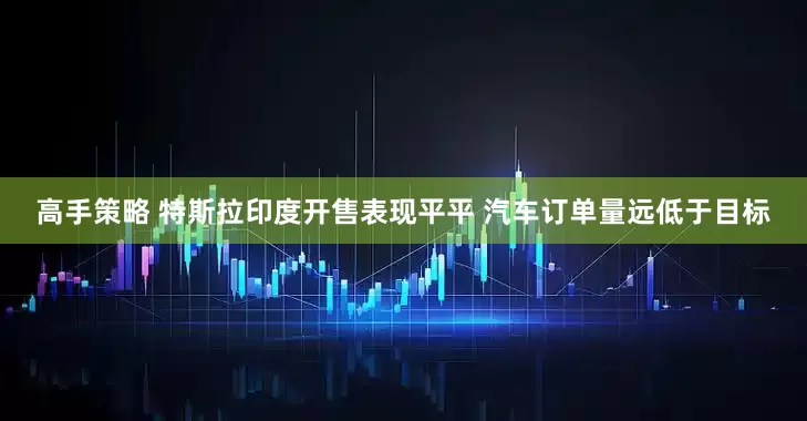 高手策略 特斯拉印度开售表现平平 汽车订单量远低于目标