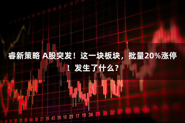 睿新策略 A股突发！这一块板块，批量20%涨停！发生了什么？