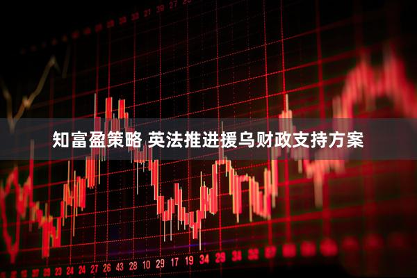 知富盈策略 英法推进援乌财政支持方案
